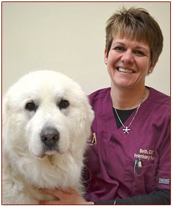 Bethany Lundsted, CVT, GACC Manager