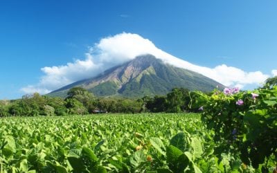 Day 10 Nicaragua Veterinary Mission Trip 2017