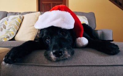 10 Holiday Dangers In Your Home