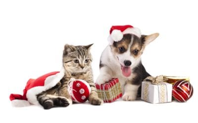 Tis The Season: Holiday Gifts For Your Pet