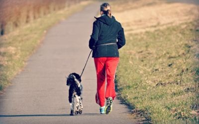 Exercising With Your Pets