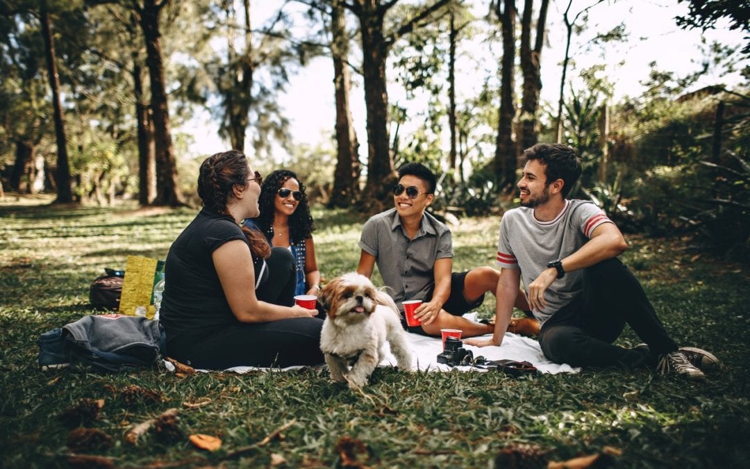 How to Plan a Dog-Friendly Spring Break