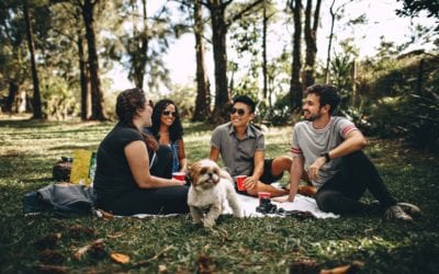 How to Plan a Dog-Friendly Spring Break