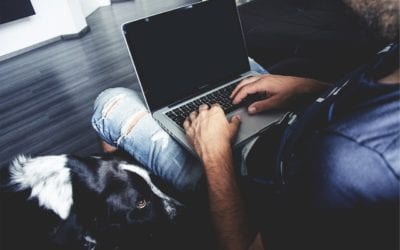 Managing Your Furry Coworker: 3 Tips for Working From Home With Your Pet